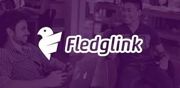 Fledglink digital cv app image